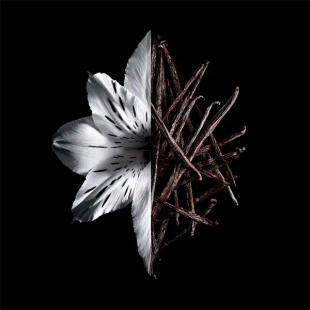 عطر جيفنشي لينترديت إنتنس أو دو بارفيوم