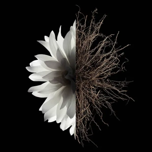 عطر جيفنشي لينترديت أو دو بارفيوم